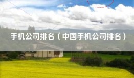 手机公司排名（中国手机公司排名）