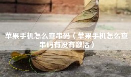 苹果手机怎么查串码（苹果手机怎么查串码有没有激活）