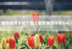 魅族查找手机下载（魅族查找手机flyme）