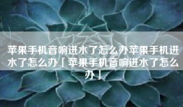 苹果手机音响进水了怎么办苹果手机进水了怎么办「苹果手机音响进水了怎么办」