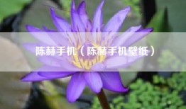 陈赫手机（陈赫手机壁纸）