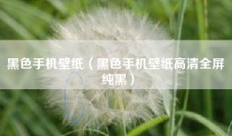 黑色手机壁纸（黑色手机壁纸高清全屏 纯黑）