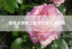 郄英才调研工业经济增长点培育