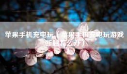苹果手机充电玩（苹果手机充电玩游戏断触怎么办）