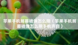 苹果手机屏幕镜像怎么用（苹果手机屏幕镜像怎么用手机声音）