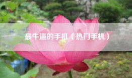 最牛逼的手机（热门手机）