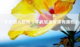 手机验光软件（手机验光软件有哪些）