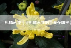 手机腾讯我（手机腾讯我的会员在哪里）