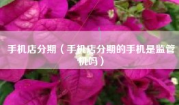 手机店分期（手机店分期的手机是监管机吗）