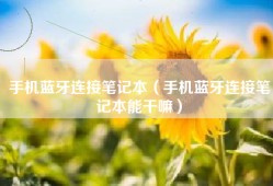 手机蓝牙连接笔记本（手机蓝牙连接笔记本能干嘛）