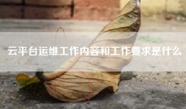 云平台运维工作内容和工作要求是什么
