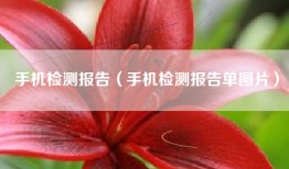 手机检测报告（手机检测报告单图片）