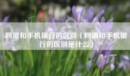 网银和手机银行的区别（网银和手机银行的区别是什么）