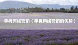 手机网络营销（手机网络营销的优势）