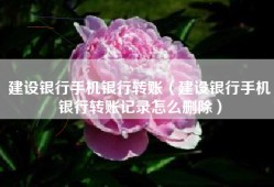 建设银行手机银行转账（建设银行手机银行转账记录怎么删除）