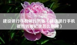 建设银行手机银行转账（建设银行手机银行转账记录怎么删除）