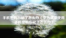 手机密码忘记了怎么办（华为健康使用手机密码忘记了怎么办）