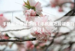手机能外接键盘吗（手机能外接键盘吗华为）