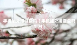 手机能外接键盘吗（手机能外接键盘吗华为）