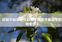 自制手机架子（自制手机架子最简单的用纸板）