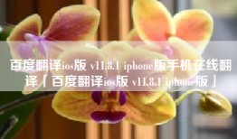 百度翻译ios版 v11.8.1 iphone版手机在线翻译「百度翻译ios版 v11.8.1 iphone版」