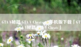 GTA V秘籍 GTA V Cheatsgta3手机版下载「GTA V秘籍 GTA V Cheats」