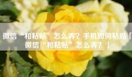 微信“和粘贴”怎么弄？手机如何粘贴「微信“和粘贴”怎么弄？」
