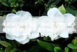 手机短信加密保护：隐私安全的必要手段加密手机「手机短信加密保护：隐私安全的必要手段」