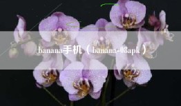 banana手机（banana-08apk）
