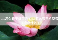 vivo怎么看手机型号（vivo怎么看手机型号指令是什么）