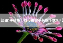迅雷5手机版下载（迅雷手机版下载2019）