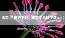 迅雷5手机版下载（迅雷手机版下载2019）