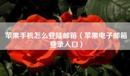苹果手机怎么登陆邮箱（苹果电子邮箱登录入口）