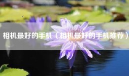 相机最好的手机（相机最好的手机推荐）