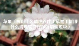 苹果手机用什么清理软件（苹果手机用什么清理软件好深度清理垃圾）