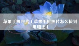 苹果手机照片（苹果手机照片怎么传到电脑上）