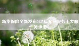新华保险全新发布2025年客户服务十大服务承诺
