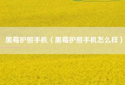 黑莓护照手机（黑莓护照手机怎么样）