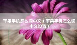 苹果手机怎么调中文（苹果手机怎么调中文设置）