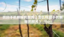 找回手机删除的照片（怎么找回手机删除的照片）
