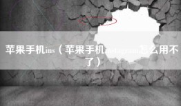 苹果手机ins（苹果手机instagram怎么用不了）