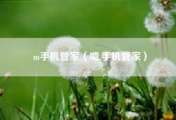 m手机管家（嗯,手机管家）