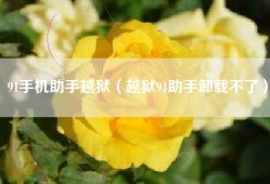 91手机助手越狱（越狱91助手卸载不了）