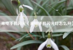 来电手机闪光（来电手机闪光灯怎么开）