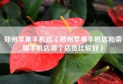 郑州苹果手机店（郑州苹果手机店和荣耀手机店哪个店员比较好）