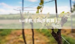 lcm手机（lcm手机屏）