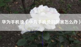 华为手机烫（华为手机烫的厉害怎么办）