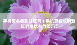 手机莫名收到验证码（手机莫名收到验证码短信有危险吗）