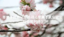苹果手机忘记密码锁（苹果手机忘记密码锁屏时间）