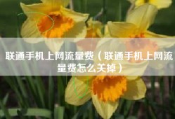 联通手机上网流量费（联通手机上网流量费怎么关掉）